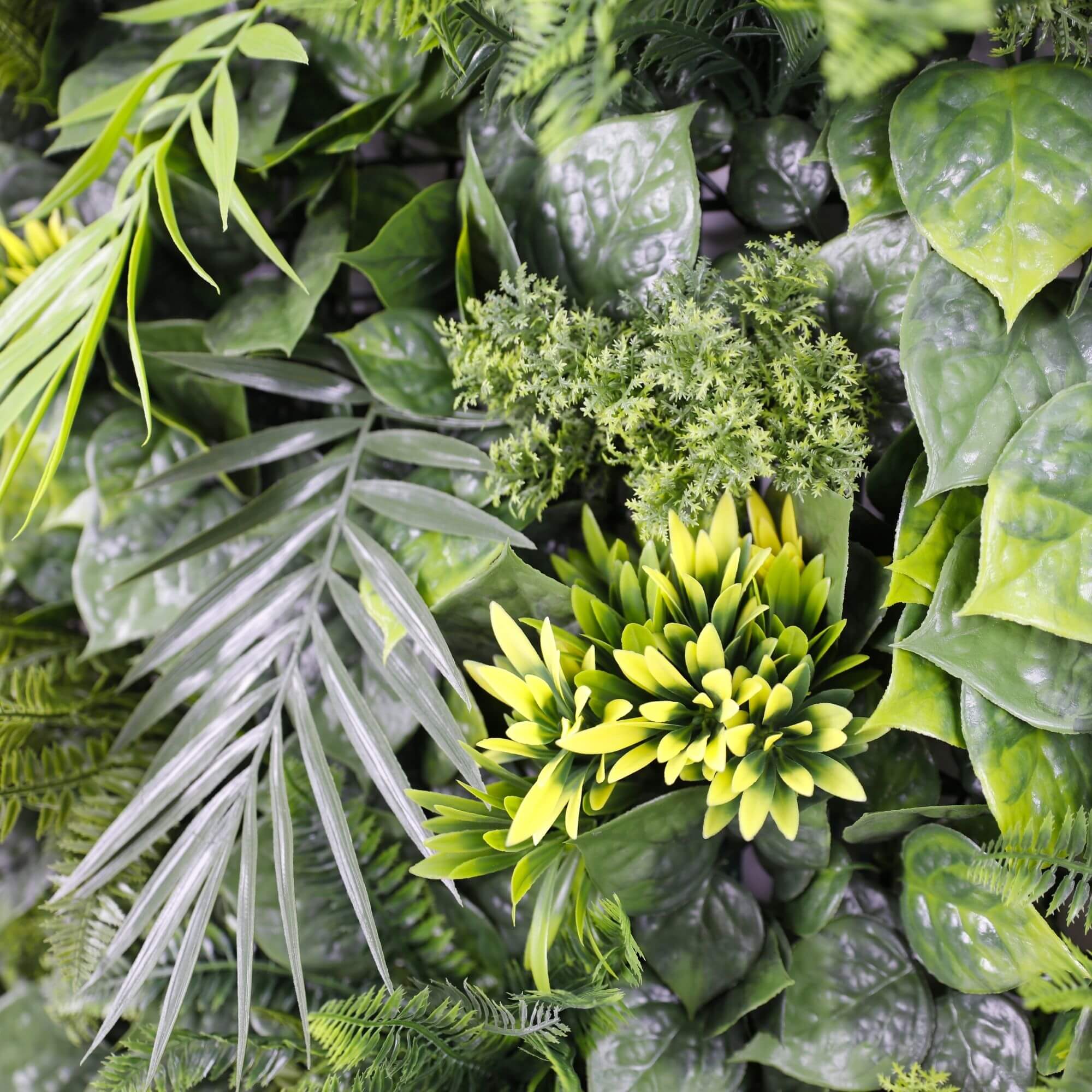 Luxury Hawaiian Sunrise Vertical Garden/Green Wall UV Resistant 1m X 1m-Home & Garden > Artificial Plants-PEROZ Accessories