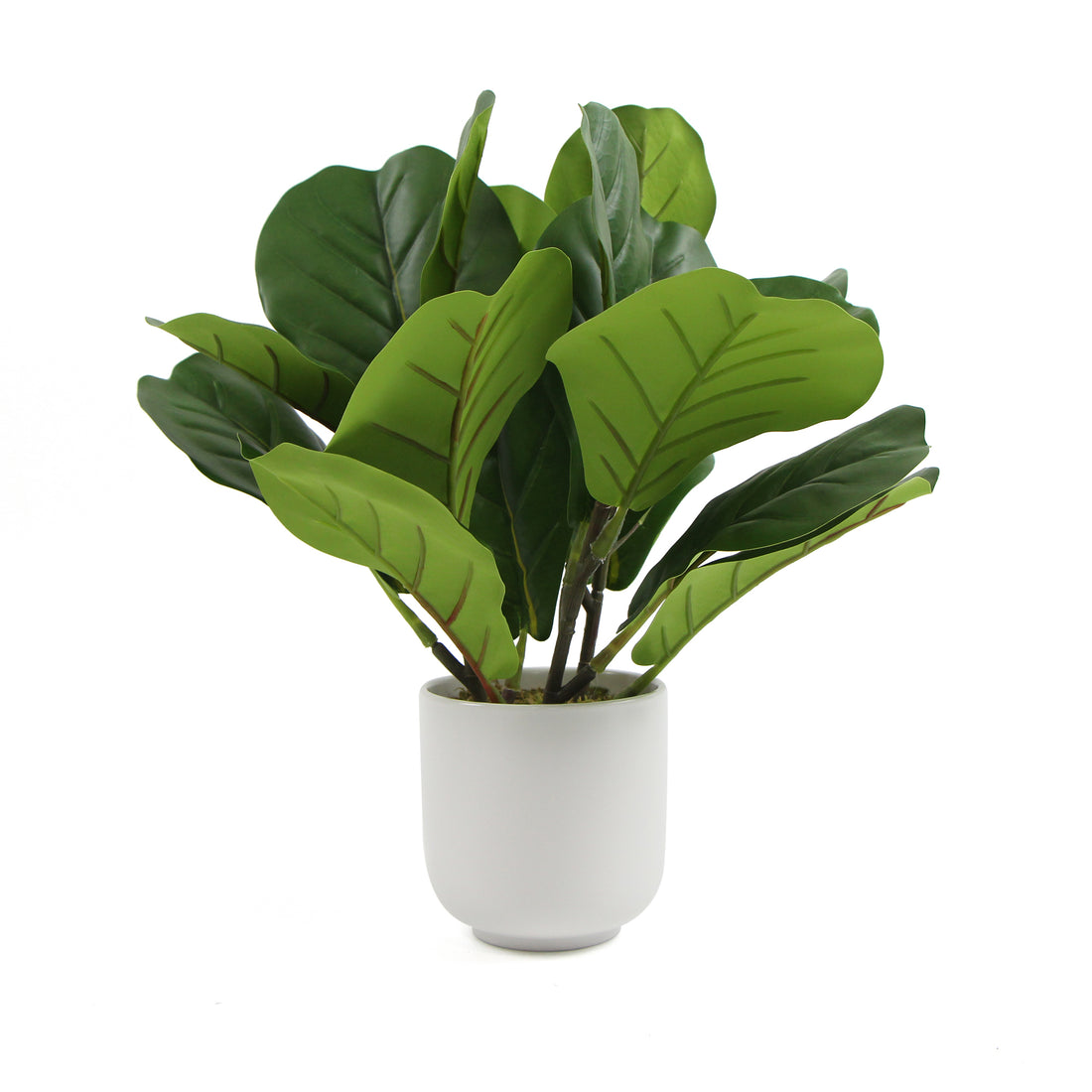 Decorative Potted Dense Artificial Fiddle Leaf Fig In Beautiful Decorative Bowl 37cm-Home &amp; Garden &gt; Artificial Plants-PEROZ Accessories