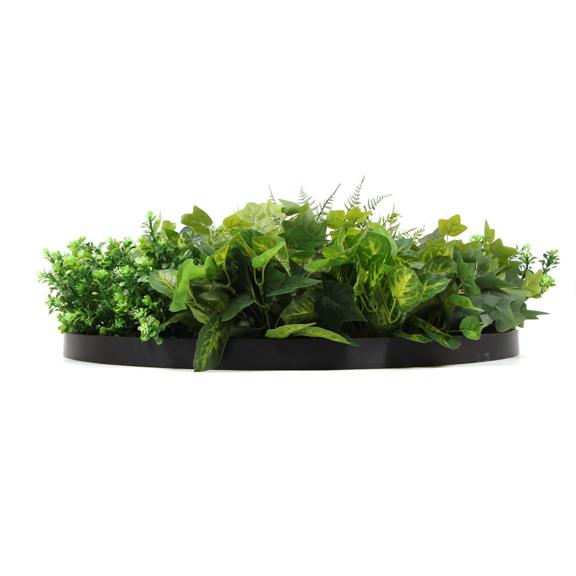 Slimline Artificial Green Wall Disc Art 80cm Mixed Green Fern & Ivy (Modern Black)-Home & Garden > Artificial Plants-PEROZ Accessories