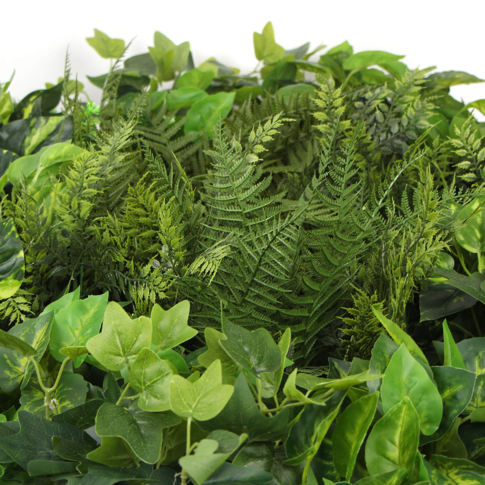 Slimline Artificial Green Wall Disc Art 80cm Mixed Green Fern & Ivy (Modern Black)-Home & Garden > Artificial Plants-PEROZ Accessories