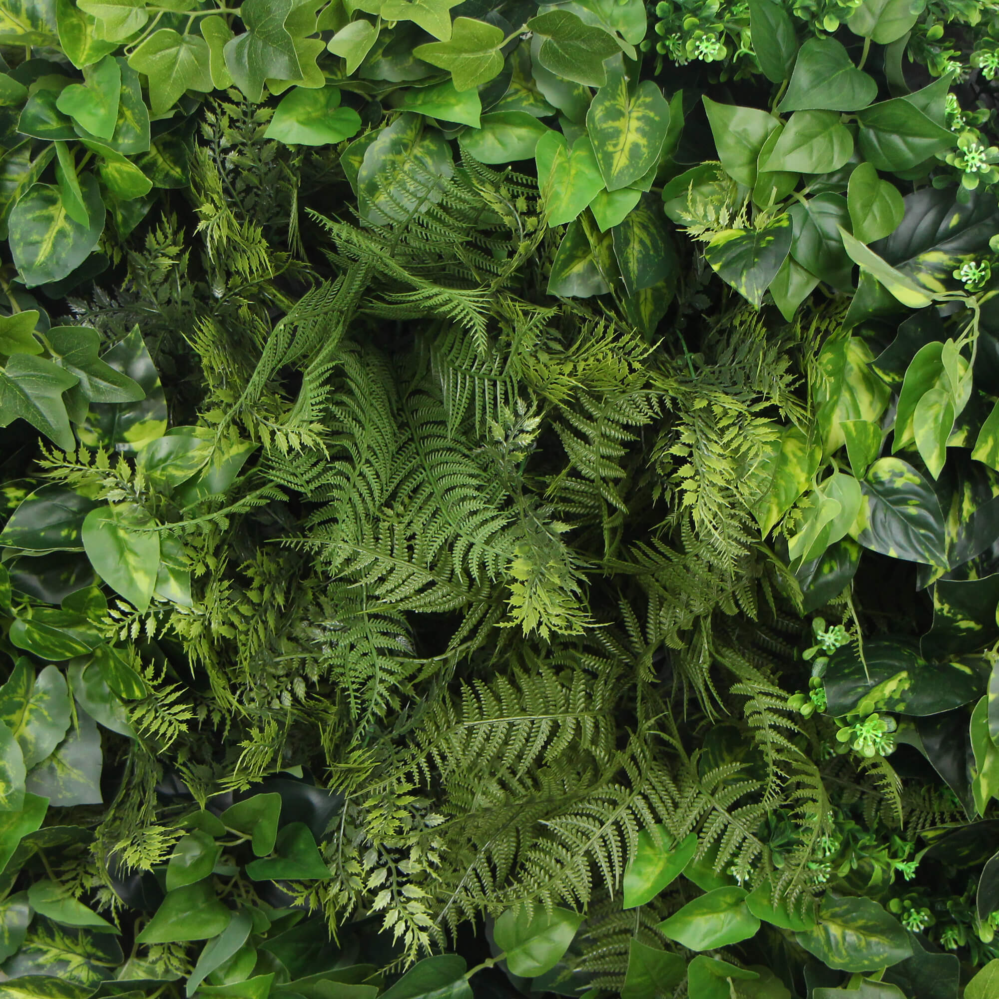 Slimline Artificial Green Wall Disc Art 80cm Mixed Green Fern & Ivy (Modern Black)-Home & Garden > Artificial Plants-PEROZ Accessories