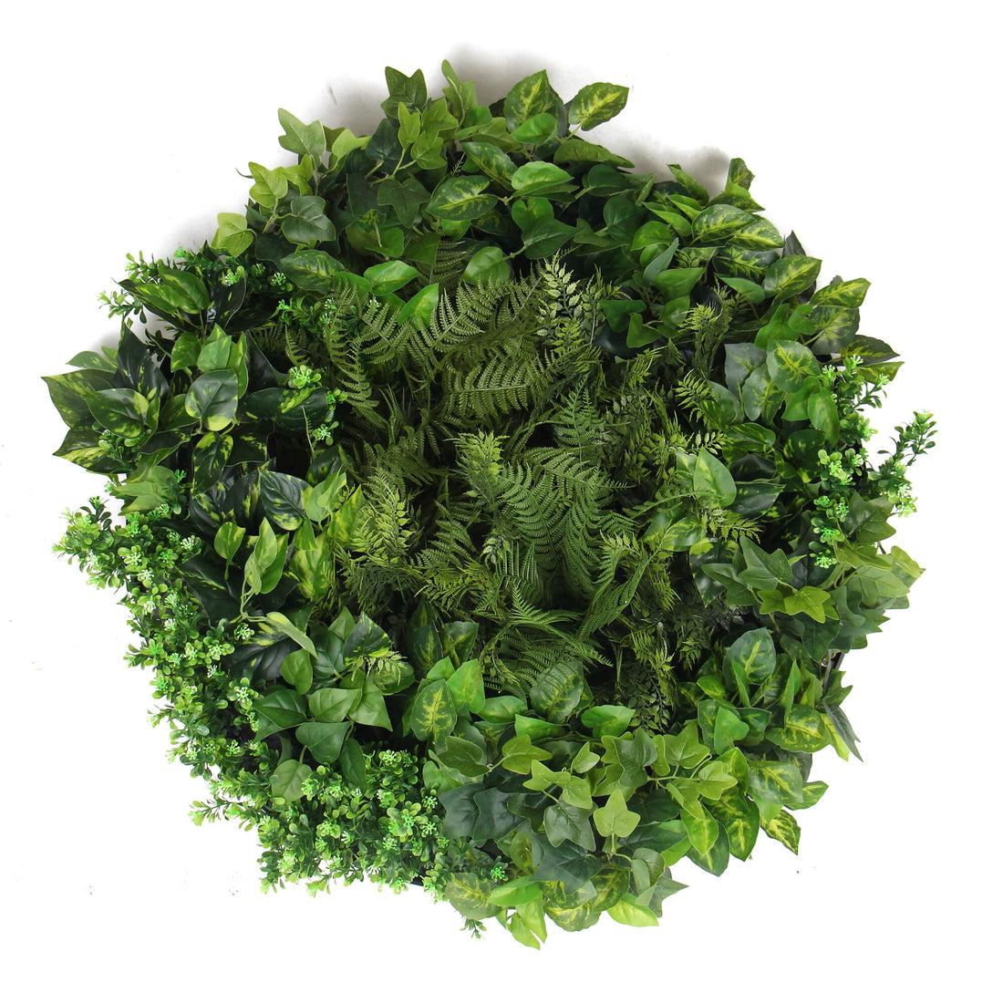 Slimline Artificial Green Wall Disc Art 80cm Mixed Green Fern &amp; Ivy (Modern Black)-Home &amp; Garden &gt; Artificial Plants-PEROZ Accessories