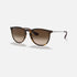 Ray-Ban Erika Matte Havana Rubber-Sunglasses-PEROZ Accessories