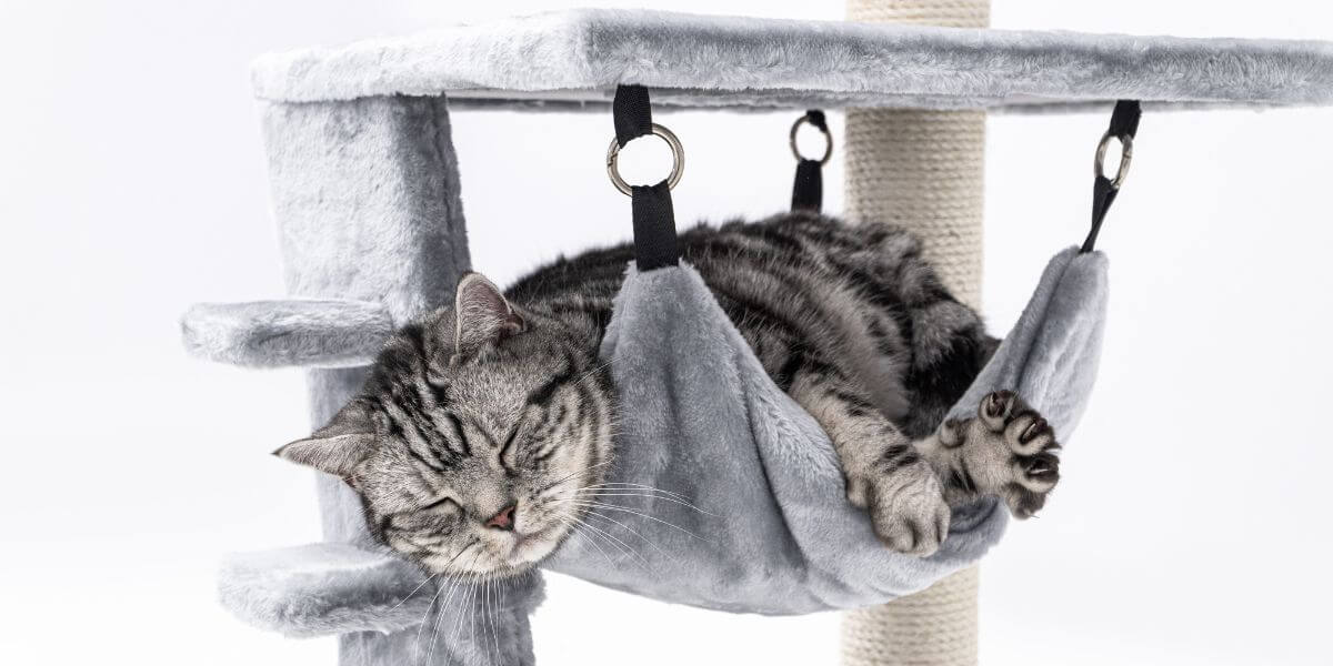 Cat Trees - A cat sleeping on cat tower | Peroz