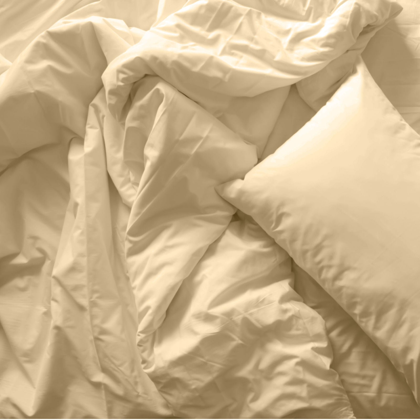 Royal Comfort Bamboo Blended Quilt Cover Set 1000TC Ultra Soft Luxury Bedding-Bed Linen-PEROZ Accessories