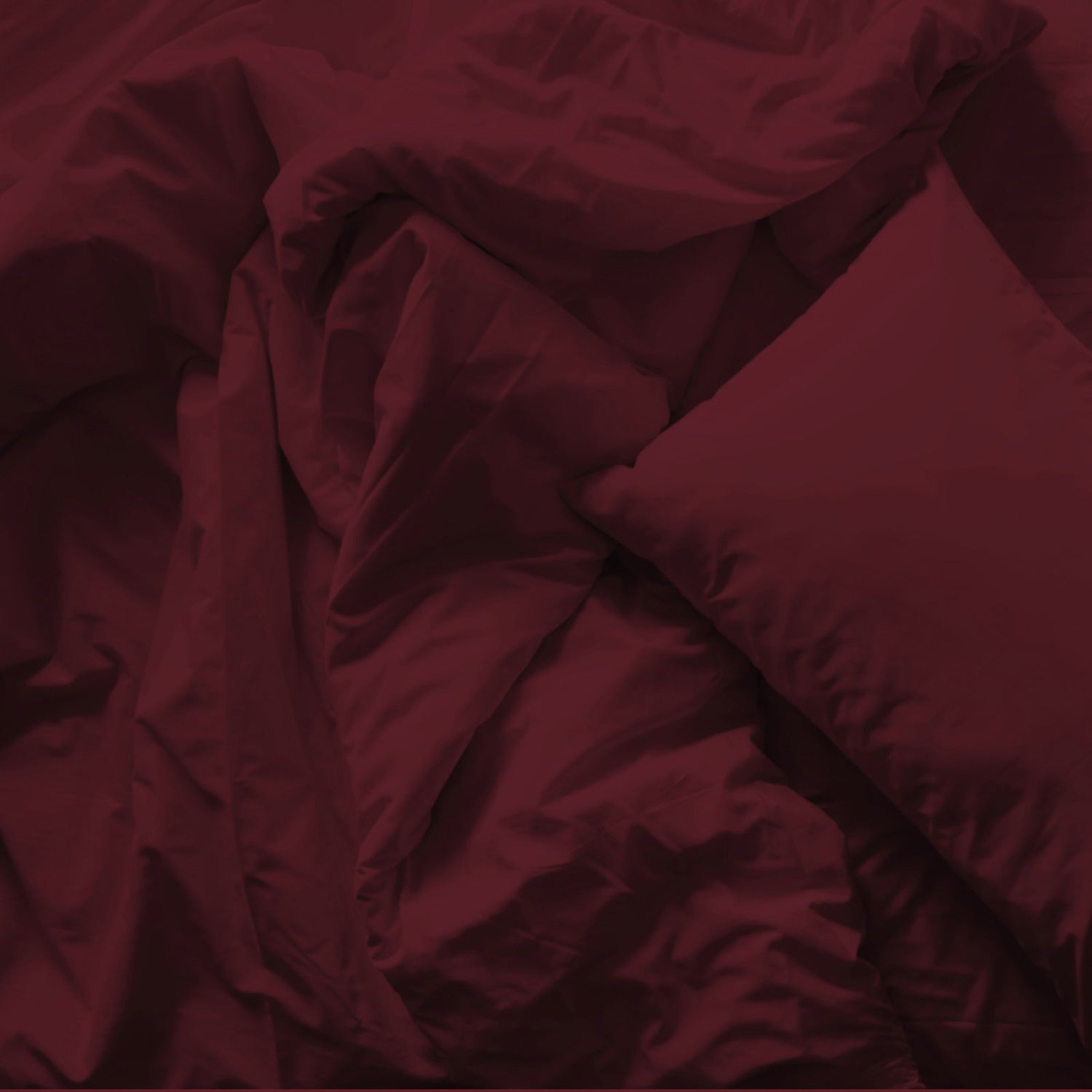 Royal Comfort Bamboo Blended Quilt Cover Set 1000TC Ultra Soft Luxury Bedding-Bed Linen-PEROZ Accessories