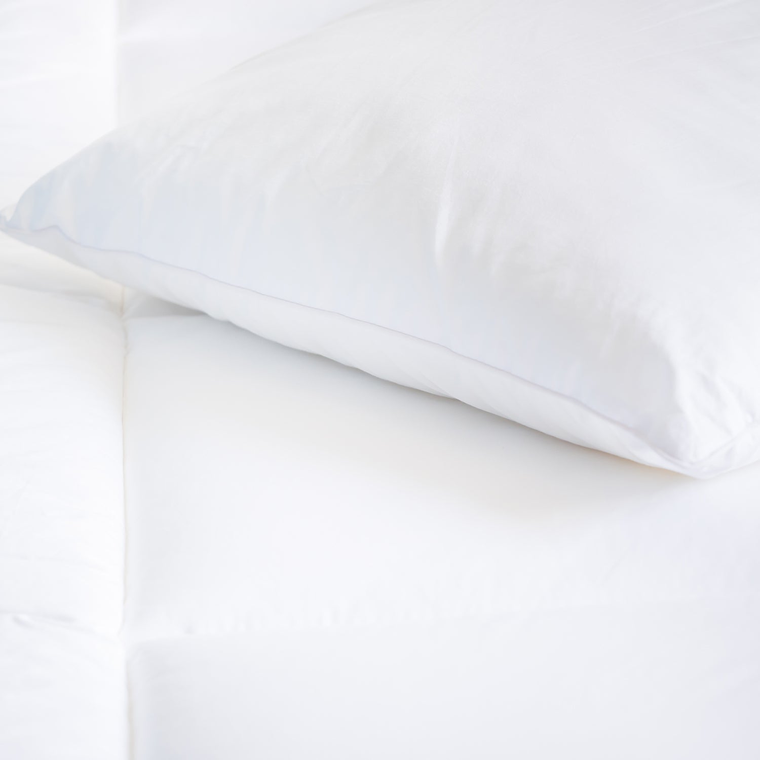 Royal Comfort Tencel Blend Pillow One Pack Eco Friendly Breathable Ultra Soft-Bedding-PEROZ Accessories
