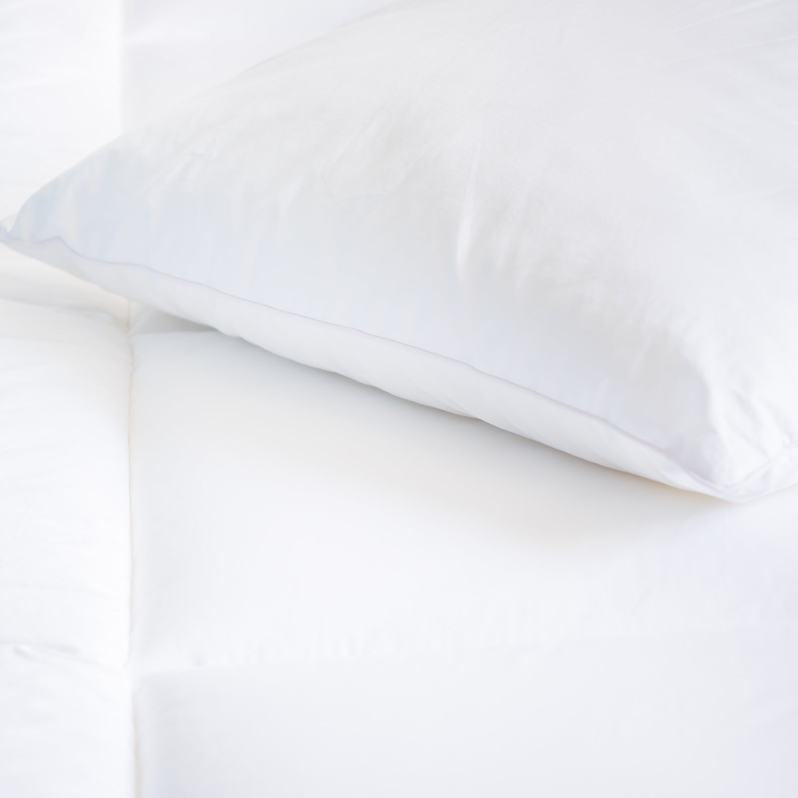 Royal Comfort Tencel Blend Pillow One Pack Eco Friendly Breathable Ultra Soft-Bedding-PEROZ Accessories