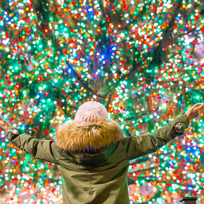 Milano Decor Solar Powered Outdoor Fairy Lights - 200 Lights - Multicoloured-Equipment-PEROZ Accessories
