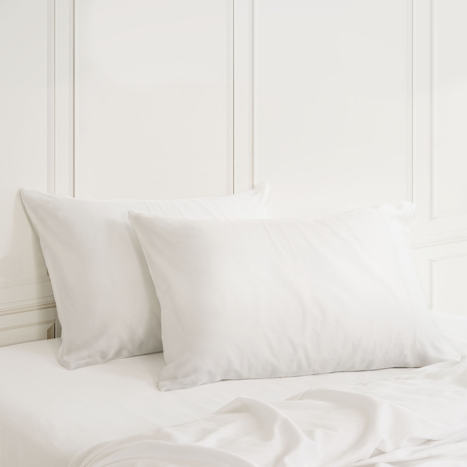 Royal Comfort Mulberry Soft Silk Hypoallergenic Pillowcase Twin Pack-Bed Linen-PEROZ Accessories