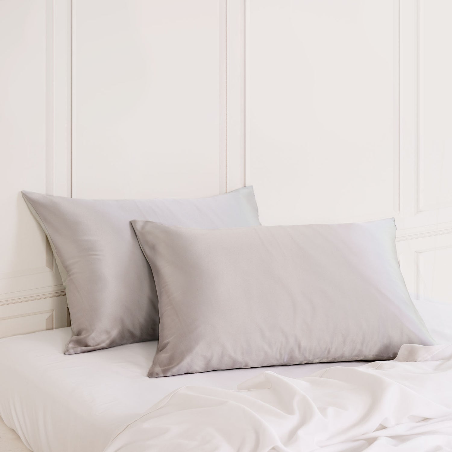 Royal Comfort Mulberry Soft Silk Hypoallergenic Pillowcase Twin Pack-Bed Linen-PEROZ Accessories