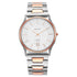 Titan Quartz Analogue Silver Dial Stainless Steel Strap Watch for Men-PEROZ Accessories