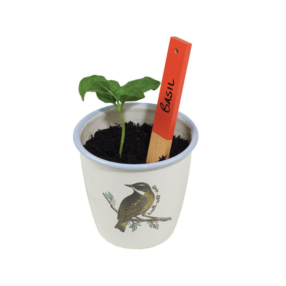 Rob Ryan Seed Markers Set of 8-Pots, Planters &amp; Container Accessories-PEROZ Accessories