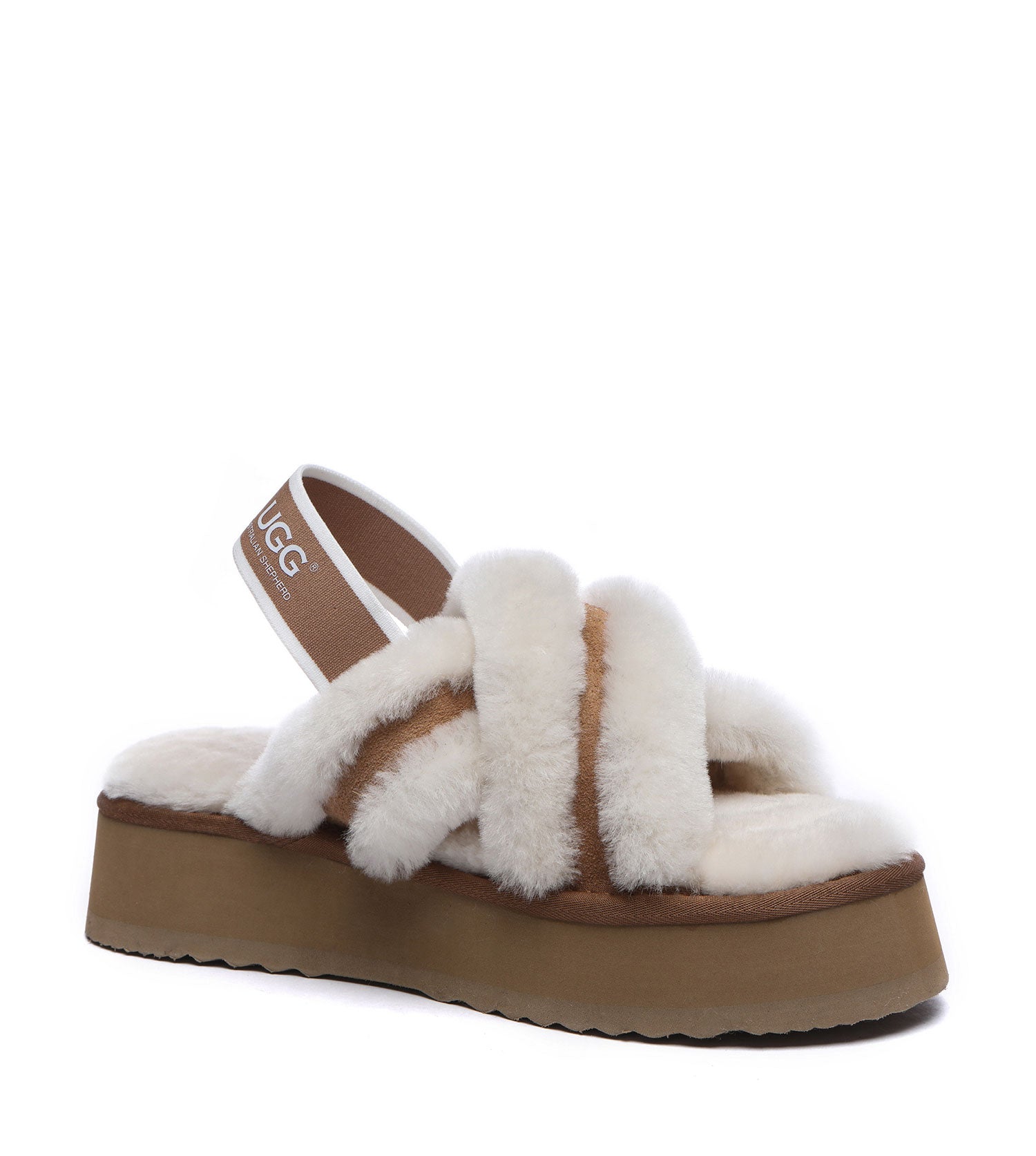Australian Shepherd Aditi Women&