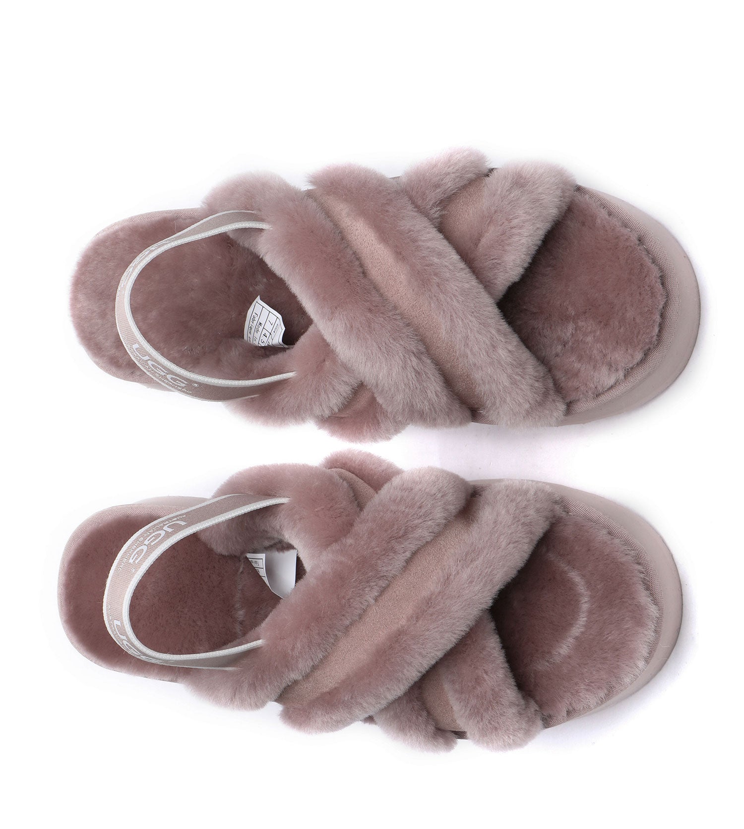 Australian Shepherd Aditi Women&