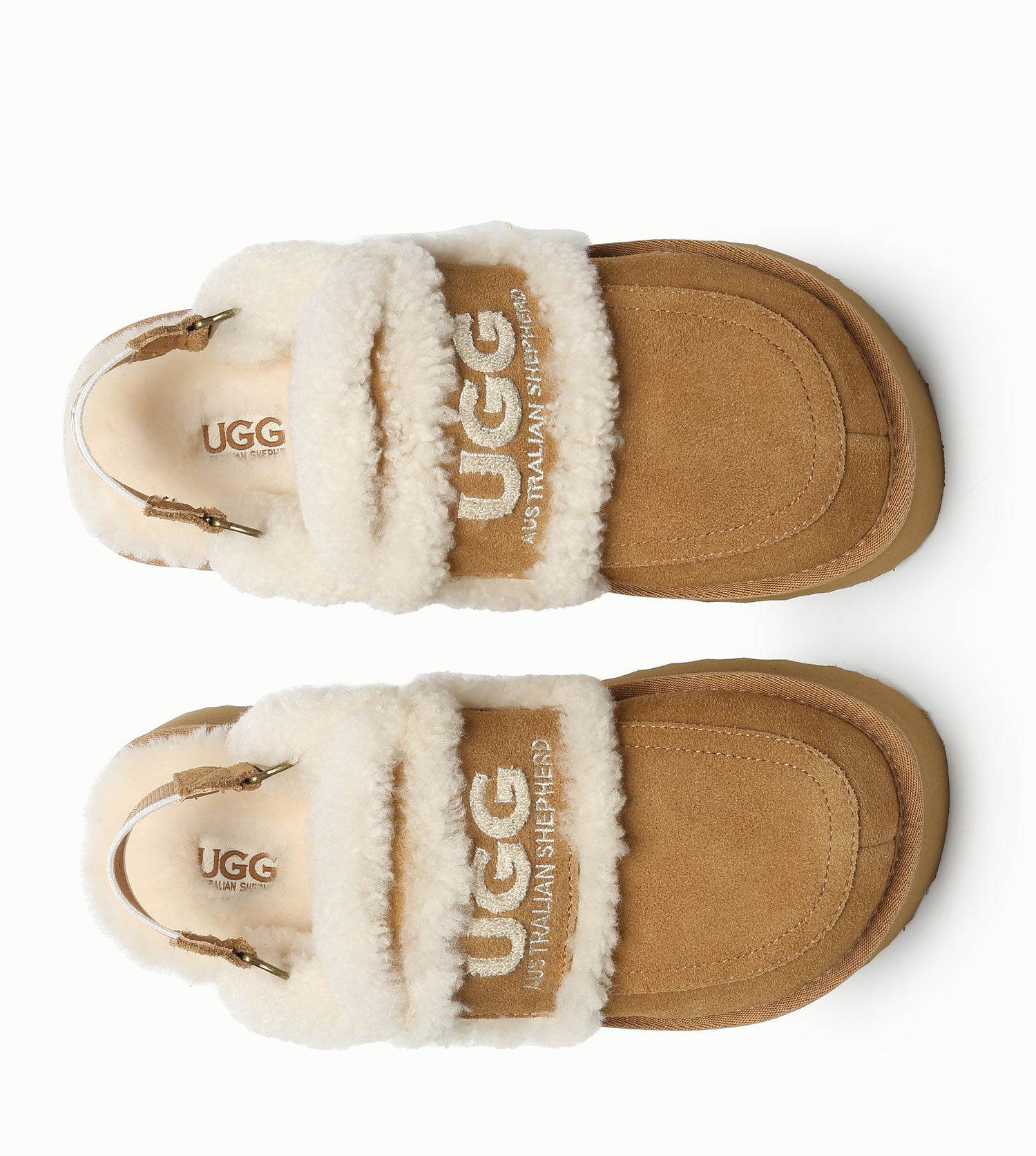 Australian Shepherd UGG Rilee Platform Slippers - AS2090-Slippers-PEROZ Accessories