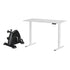 Artiss 120cm Electric Standing Desk with Mini Peal Exercise Bike Home Office-Furniture > Office > Office & Desk Chairs-PEROZ Accessories
