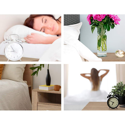 Artiss 2X Bedside Table 2 Drawers with Shelf - TARA Oak-Furniture > Bedroom > Bedside Tables-PEROZ Accessories