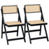 Artiss 2x Dining Chairs Wooden Rattan Foldable Black-Furniture > Dining > Kitchen & Dining Chairs-PEROZ Accessories