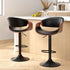 Artiss 2x Bar Stools Gas Lift Leather w/Armrest-Furniture > Bar Stools & Chairs-PEROZ Accessories