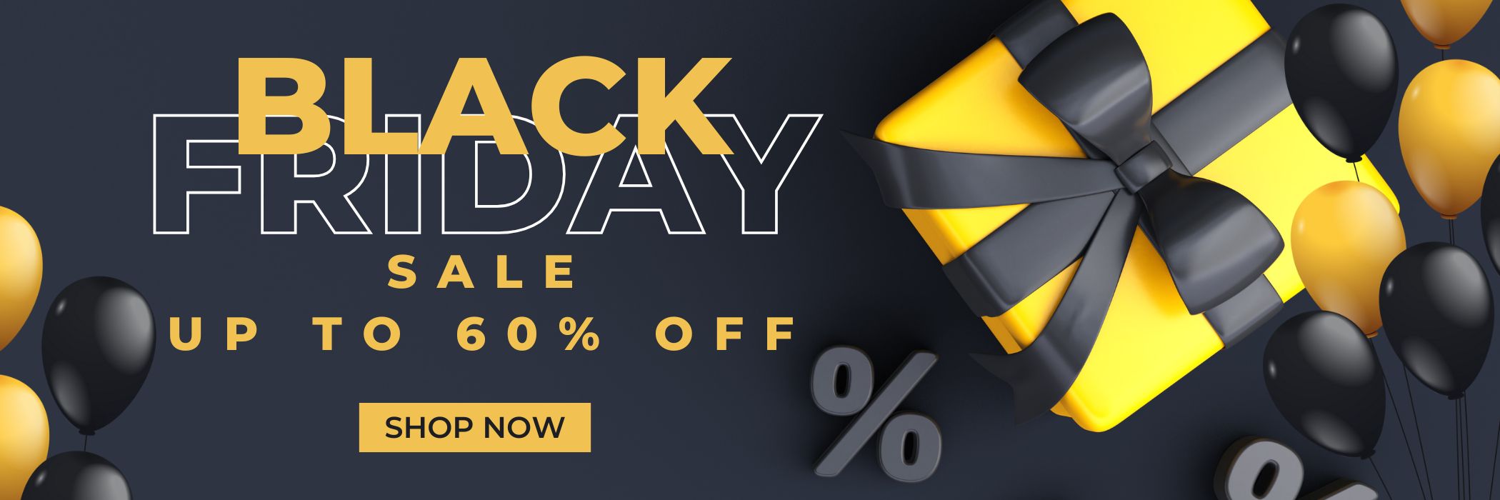 Black Friday Sale