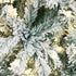Mazam Christmas Tree 2.4M 8FT Snow Flocked Xmas Decorations Green w/ LED lights-Christmas Trees-PEROZ Accessories