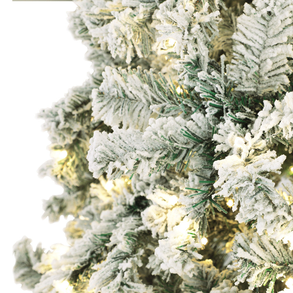 Tinseltown LED Christmas Tree 1.8M 6FT with Tree Skirt Light Snow-sprayed Green-Christmas Tree-PEROZ Accessories