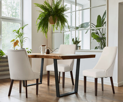 Oikiture 2PCs Velvet Dining Chair Kitchen Padded Seat Design Beige-Dining Chair-PEROZ Accessories