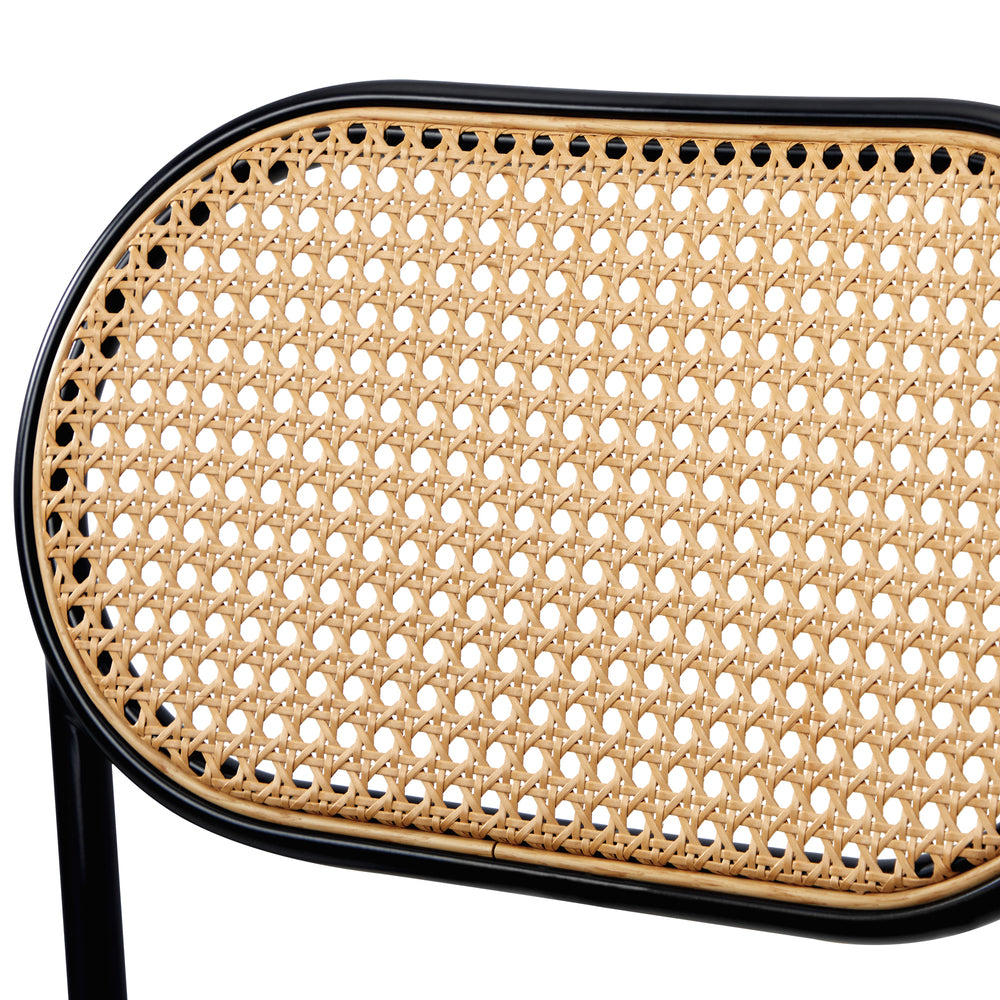 Oikiture 2PCS Rattan Dining Chair PU Leather Black-Dining Chairs-PEROZ Accessories