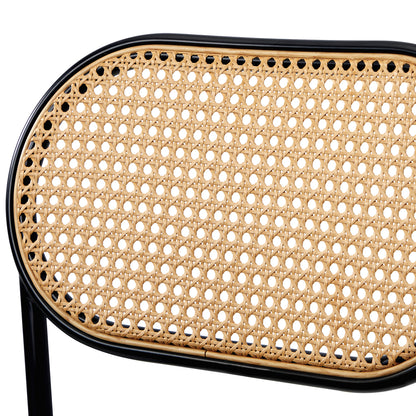 Oikiture 2PCS Rattan Dining Chair PU Leather Black-Dining Chairs-PEROZ Accessories