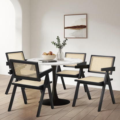 Oikiture 2x Dining Chairs Rattan Chair Wooden Balck-Dining Chair-PEROZ Accessories