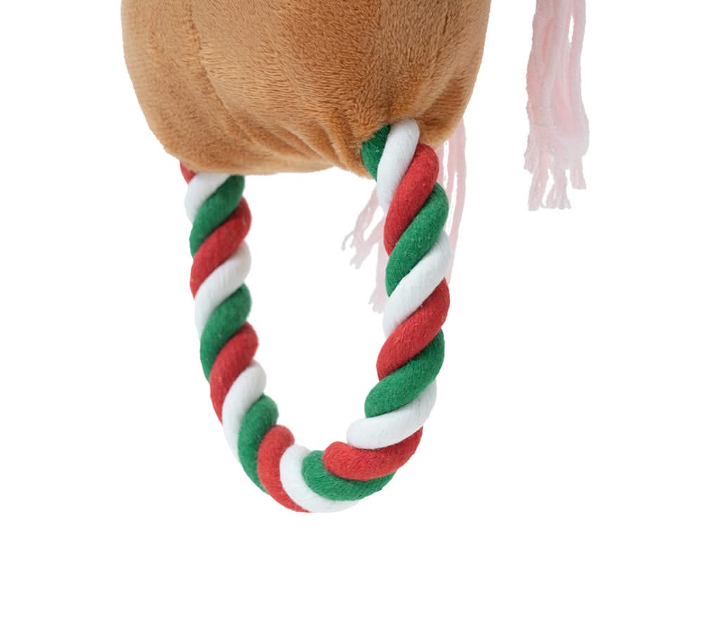 Pet Christmas Reindeer Chewers and Gift Bag