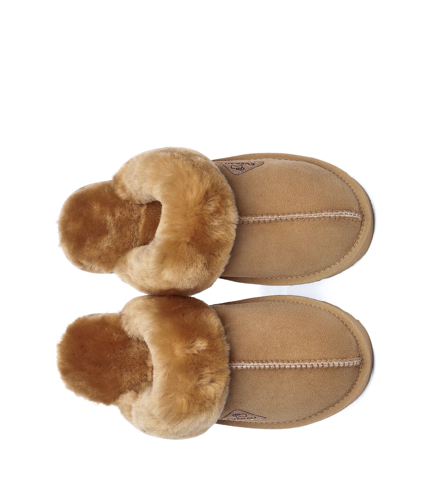 Muffin Slipper Special Color House Shoes - EA2007 - EVERAU-House Shoes-PEROZ Accessories