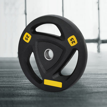 Everfit Weight Plates Standard 25kg Dumbbells Barbells Plate Weight Lifting Home Gym-Sports &amp; Fitness &gt; Exercise, Gym &amp; Fitness &gt; Free Weights-PEROZ Accessories