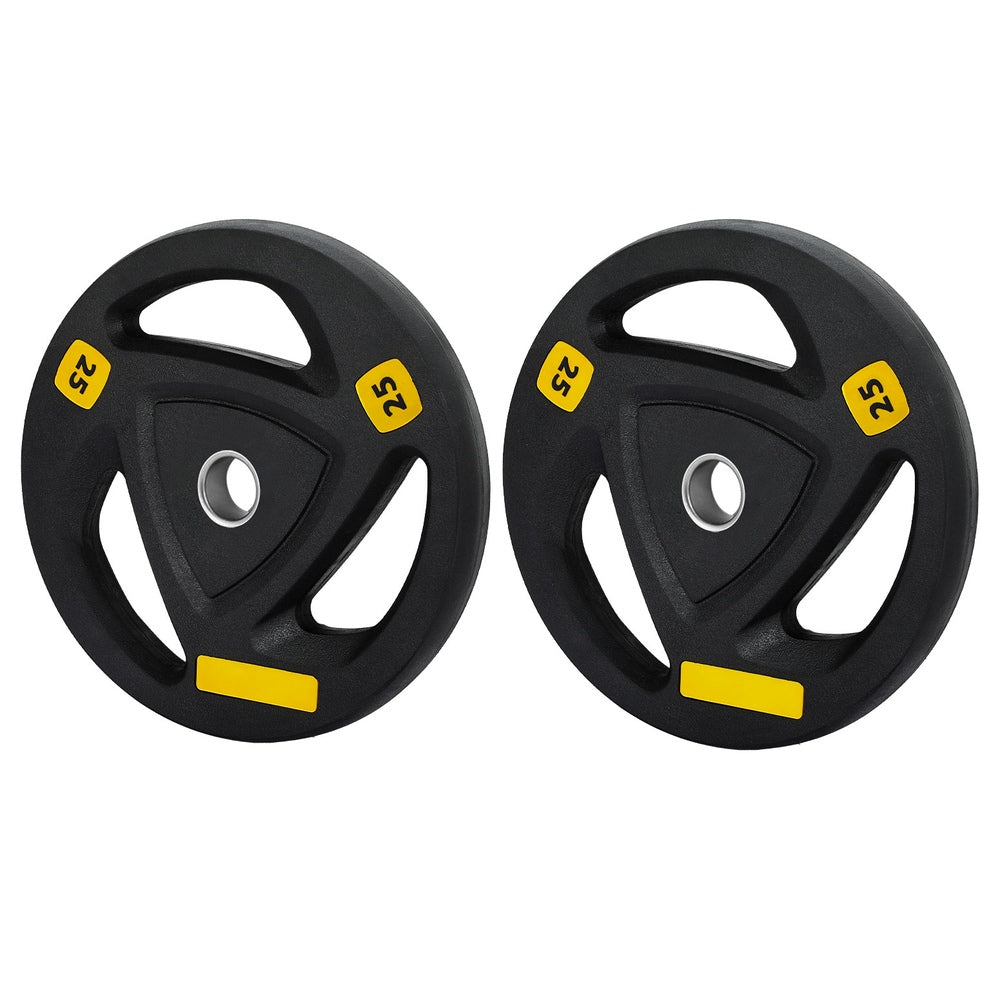 Everfit Weight Plates Standard 25kgx2 Dumbbells Barbells Plate Weight Lifting Home Gym-Sports &amp; Fitness &gt; Exercise, Gym &amp; Fitness &gt; Free Weights-PEROZ Accessories