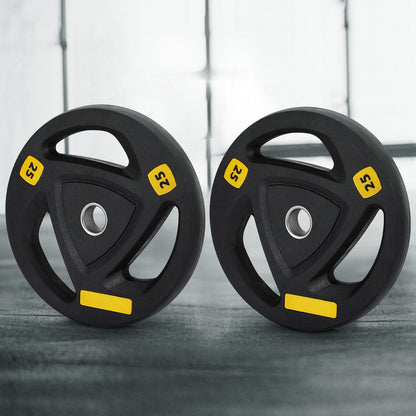 Everfit Weight Plates Standard 25kgx2 Dumbbells Barbells Plate Weight Lifting Home Gym-Sports &amp; Fitness &gt; Exercise, Gym &amp; Fitness &gt; Free Weights-PEROZ Accessories