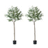 Livsip 2x Artificial Olive Tree Faux Potted Plants 150cm-Faux Plant-PEROZ Accessories