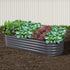 Green Fingers Garden Bed 160X80X42cm Oval Planter Box Raised Container Galvanised-Home & Garden > Garden Beds-PEROZ Accessories