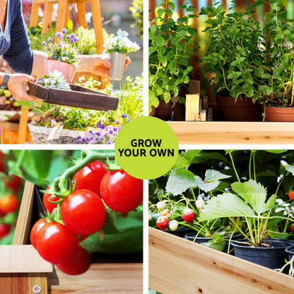 Green Fingers Raised Garden Bed 2x Elevated 120x60x80cm Wooden Planter Box Container-Home &amp; Garden &gt; Garden Beds &gt; Garden Beds &amp; Planters-PEROZ Accessories