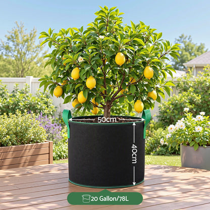 Green Fingers 20 Gallon Grow Bags 300gsm thick Aeration Fabric Pots 10 Pack-Home &amp; Garden > Garden Beds > Garden Beds &amp; Planters-PEROZ Accessories