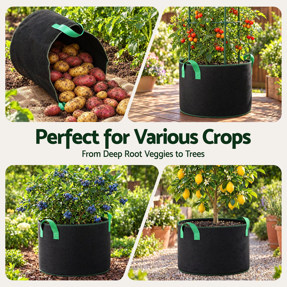 Green Fingers 20 Gallon Grow Bags 300gsm thick Aeration Fabric Pots 10 Pack-Home &amp; Garden > Garden Beds > Garden Beds &amp; Planters-PEROZ Accessories