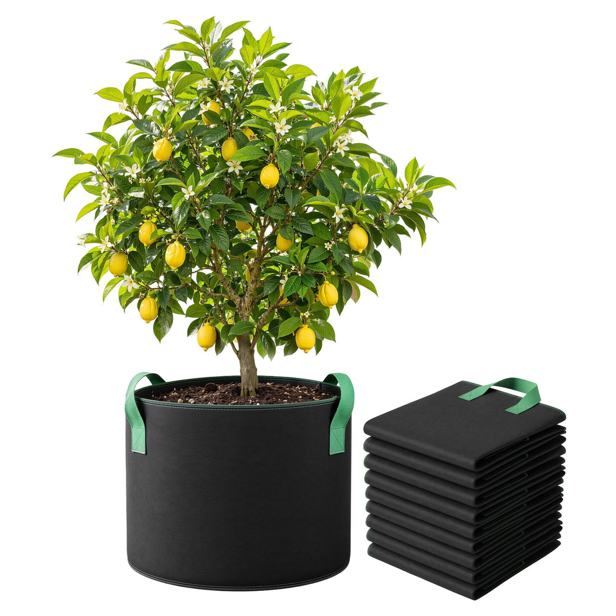 Green Fingers 20 Gallon Grow Bags 300gsm thick Aeration Fabric Pots 10 Pack-Home &amp; Garden > Garden Beds > Garden Beds &amp; Planters-PEROZ Accessories