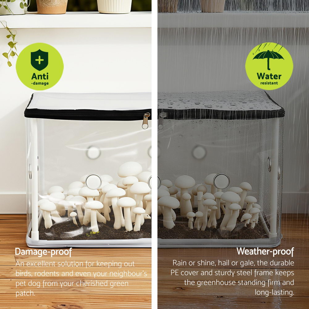 Green Fingers Mini Greenhouse 50x25x25cm PVC Cover for Mushrooms Succulents-Home &amp; Garden &gt; Greenhouses &gt; Greenhouses &amp; Accessories-PEROZ Accessories