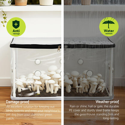 Green Fingers Mini Greenhouse 50x25x25cm PVC Cover for Mushrooms Succulents-Home &amp; Garden &gt; Greenhouses &gt; Greenhouses &amp; Accessories-PEROZ Accessories