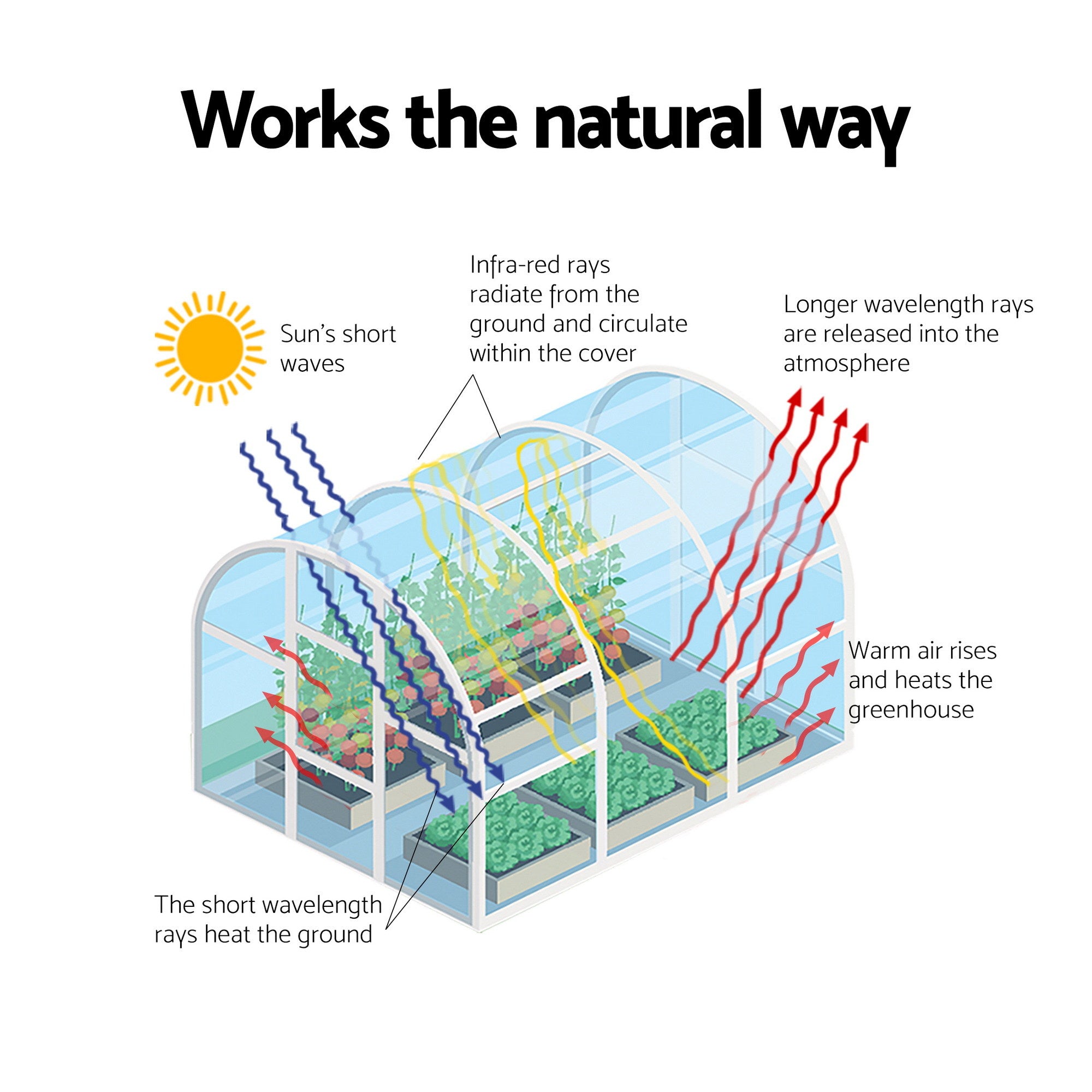 Green Fingers Greenhouse 3x2x2M Walk in Green House White-Home &amp; Garden > Greenhouses > Greenhouses &amp; Accessories-PEROZ Accessories