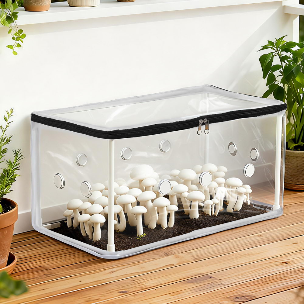 Green Fingers Mini Greenhouse 50x25x25cm PVC Cover for Mushrooms Succulents-Home &amp; Garden > Greenhouses > Greenhouses &amp; Accessories-PEROZ Accessories