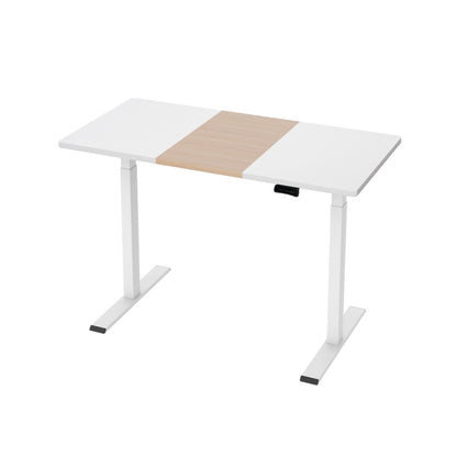 Artiss Standing Desk Motorised Dual Motor 120CM-Furniture &gt; Office-PEROZ Accessories