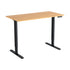 120CM Artiss Electric Standing Desk Sit Stand Desks Home Office Computer Desk-Furniture > Office > Desks-PEROZ Accessories