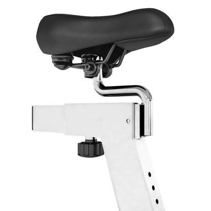 Lifespan Fitness SP-460 M2 Lifespan Fitness Spin Bike-Sports &amp; Fitness > Exercise, Gym &amp; Fitness > Exercise Bikes-PEROZ Accessories