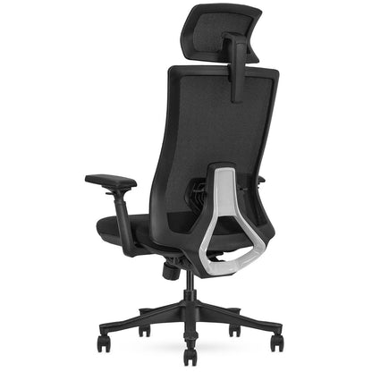 Lifespan Fitness WalkingPad M2 + ErgoDesk 1800mm Oak + Cable Management + DM9 Chair-Walking Pad-PEROZ Accessories